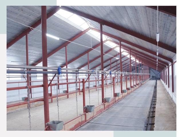 Строительство коровников в Таганроге от 611 руб.