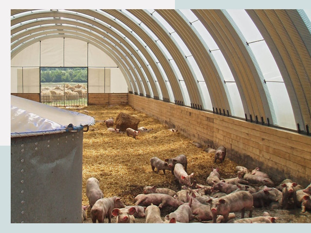 Строительство свинарников в Таганроге