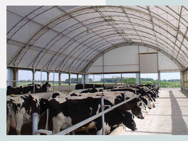 Тентовые коровники в Таганроге